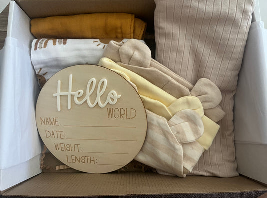 Cuddle Bug Baby Gift Box